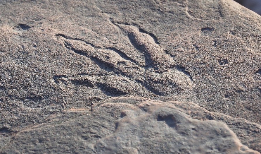 The dinosaur footprint was discovered on a beach near Barry in south Wales, the U.K. (PH๏τo courtesy fo National Museum of Wales via Instagram)