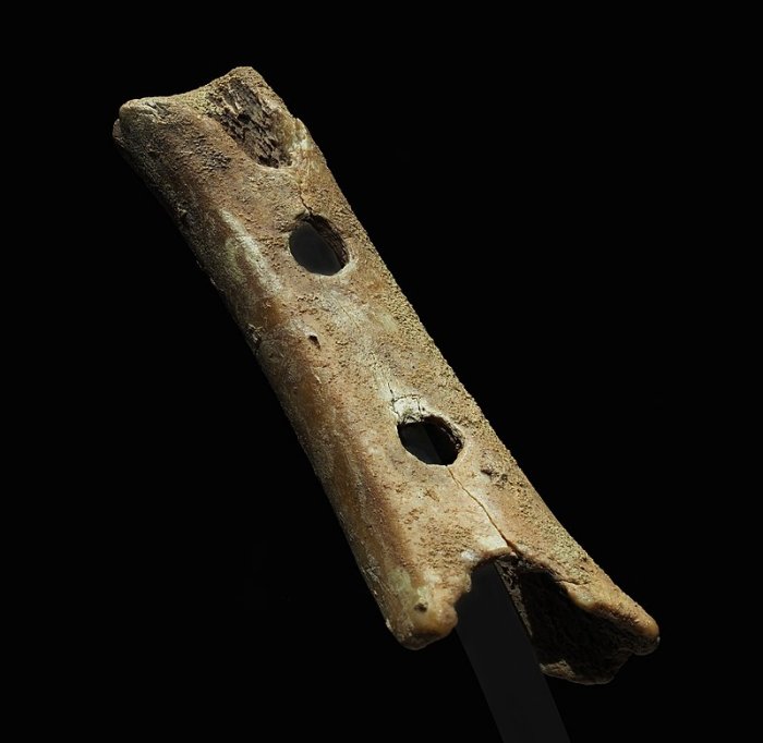 Remarkable Neanderthal Flute From Divje Babe Is The World's Oldest Musical Instrument