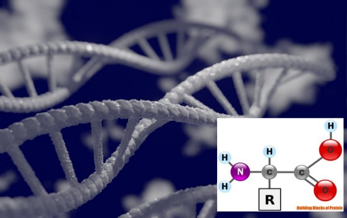 New Chemical Reactions To Generate Building Blocks Of Proteins And DNA - Discovered