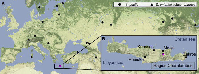 Ancient DNA Sheds New Light On The Fall Of Major Civilizations