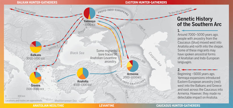 Ancient DNA Provides Comprehensive Genomic History Of The 