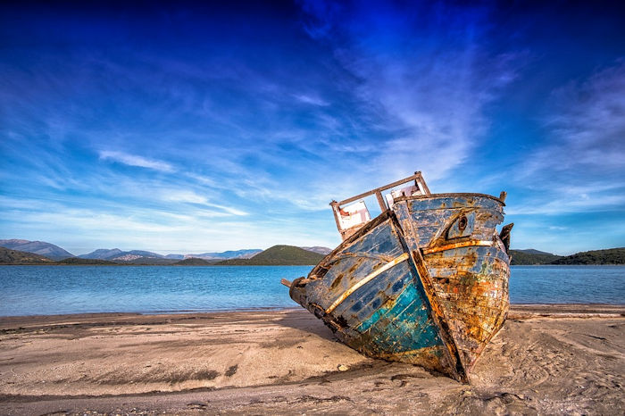 Oldest DNA From Domesticated American Horse Solves An Old Shipwreck Mystery