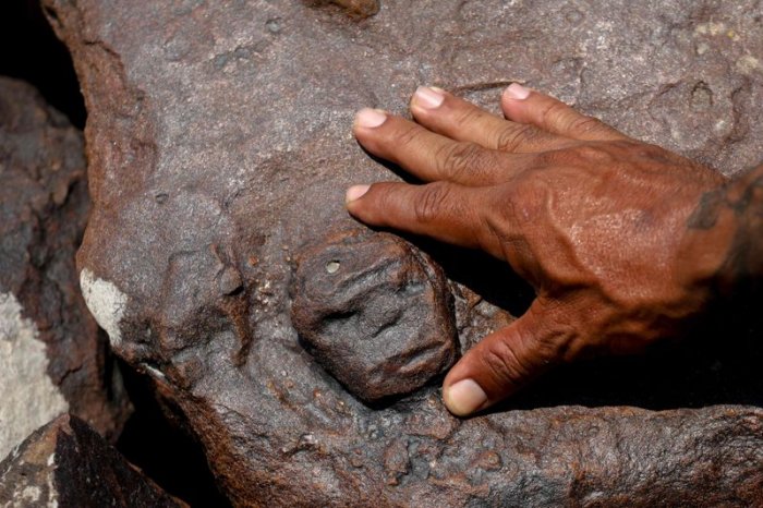 Drought Reveals 2,000-Year-Old Rock Carvings In Brazil's Amazon