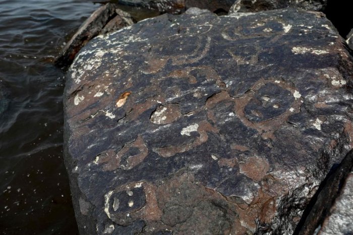 Drought Reveals 2,000-Year-Old Rock Carvings In Brazil's Amazon