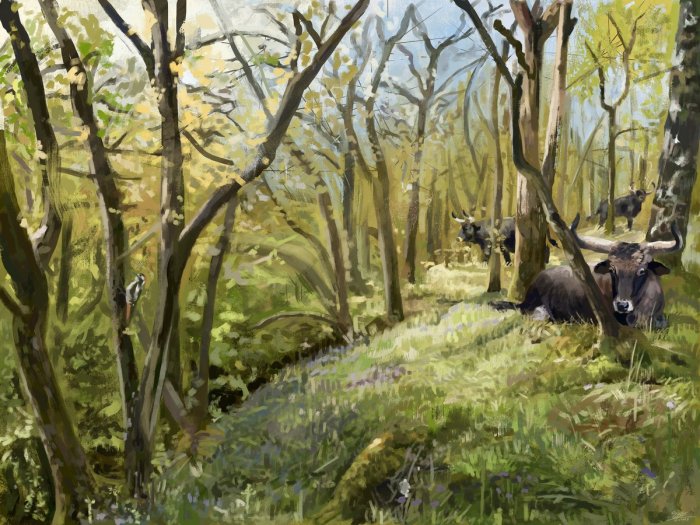 Europe Was Not Covered By Dense Forest Before The Arrival Of Modern Humans