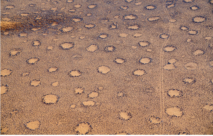 Aboriginal Art And Knowledge Unlocks Mystery Of Fairy Circles