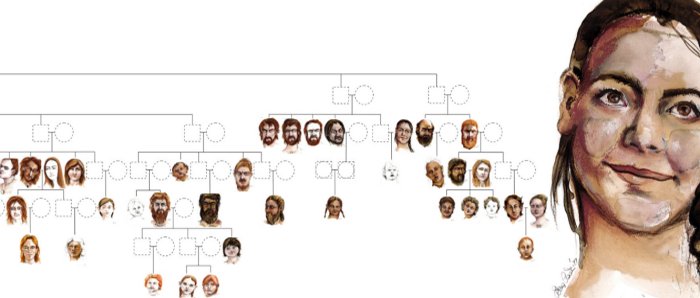 European Neolithic Family Trees Shed Light On Social Organization