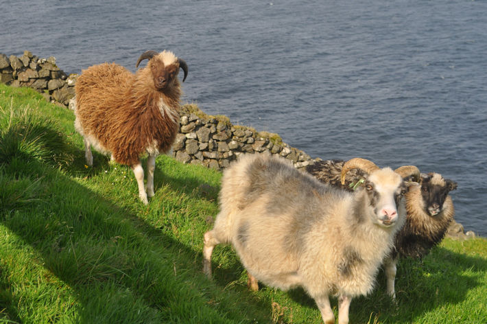 Remote North Atlantic Islands Were Settled By Unknown Groups Of Humans Centuries Earlier Than Thought