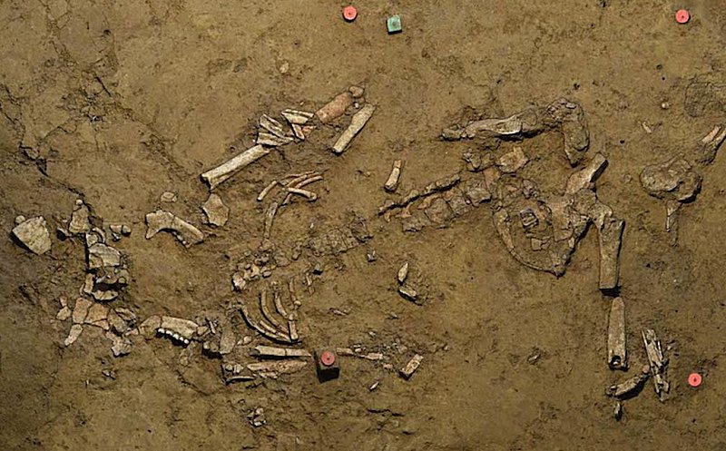 The Early Bronze Age female burial as found. The green pin (top center) marks the place the gold spiral was uncovered