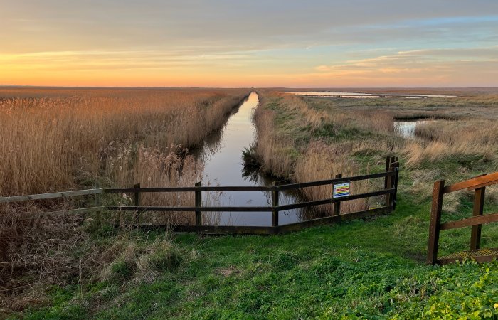 Mysterious History Of Fenland: The UK's Possible Link To A Megadrought That Led To The Collapse Of Civilisations Around The World