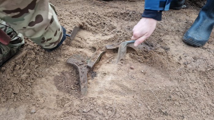 Five Rare Bronze Age Axe Heads Found In Polish Forest