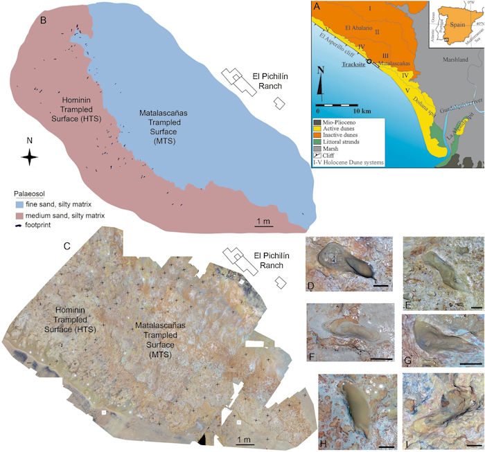 Enigmatic Footprints Reveal Humans Were In Spain 200,000 Years Earlier Than Previously Thought