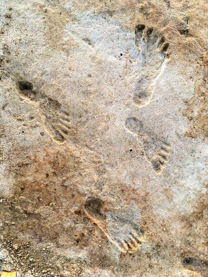 23,000-Year-Old Footprints Are Earliest Evidence Of Human Activity Found In The Americas