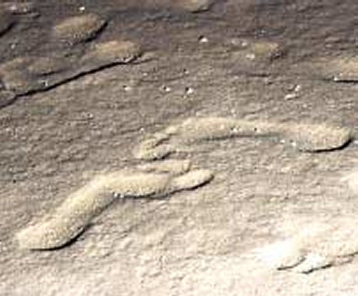 Footprints, Burgos Spain. Image credit: Ana Isabel Ortega