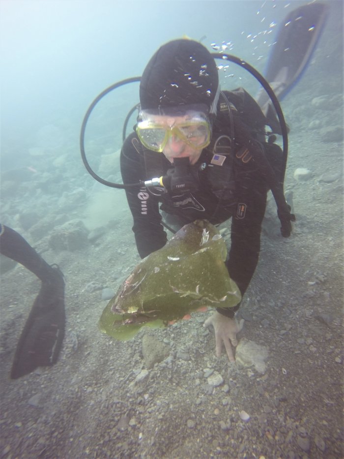 Roman Ship Cargo And Galley Equipment Discovered Underwater In The Caesarea Harbor