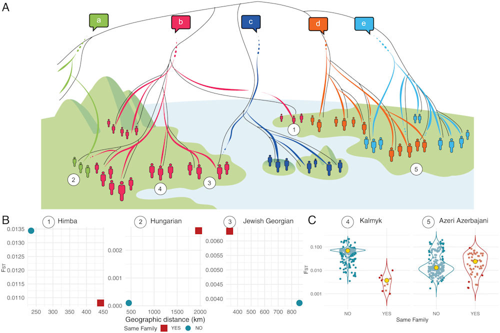 Intriguing Study Reveals Genes And Languages Aren't Always Found Together - What Does This Say About Our Ancestors?