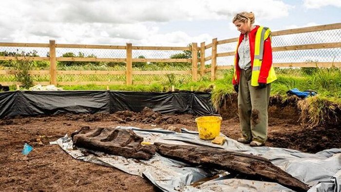 Rare 1,600-Year-Old Wooden Pagan Idol Discovered In Ireland