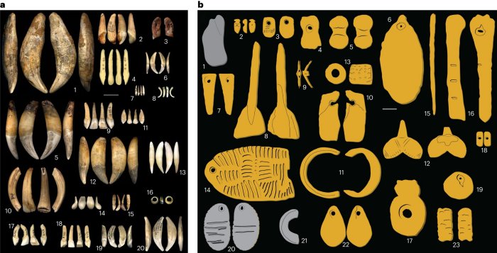 Stone Age Europe Had Nine Disctinct Cultures - Ancient Jewelry Reveals