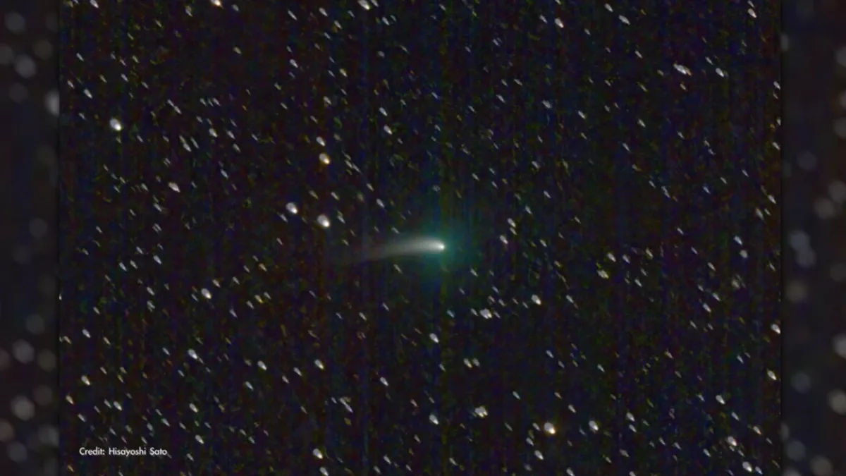 Green Comet Last Seen By The Neanderthals 50,000 Yeas Ago May Be Visible To The Naked Eye This Week