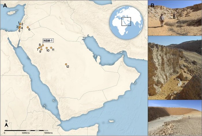 'Green' Saudi Arabia Was Home To A 350,000-Year-Old Human Settlement 