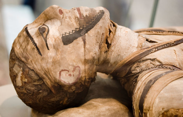 Unique Ancient Half-Mummy Unearthed In Luxor, Egypt Mystifies Archaeologists