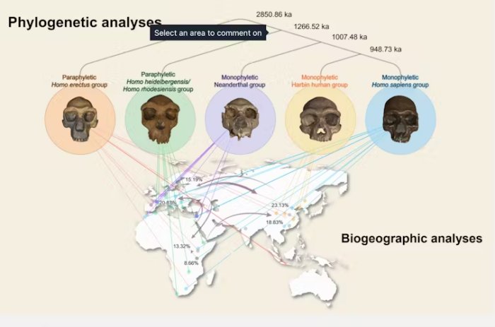 Meet Homo Longi: Extinct Human Species That May Replace Neanderthals As Our Closest Relatives