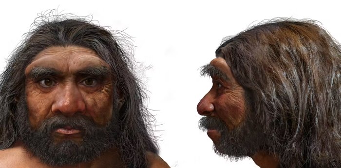 Meet Homo Longi: Extinct Human Species That May Replace Neanderthals As Our Closest Relatives