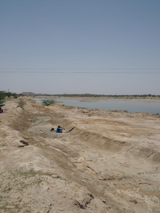 What Happened To The Homo Sapiens In The Thar Desert When They Encountered The Indian Monsoon System