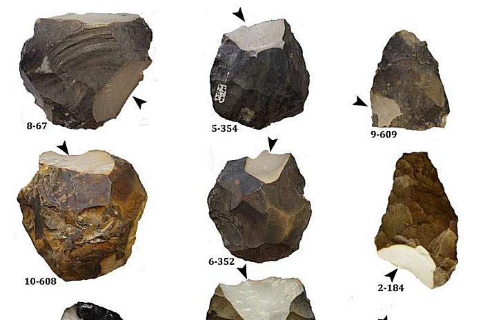 Handaxes from Gesher Benot Ya'aqov tested geochemically. Arrows indicate the striking of flakes sampled.Image credit: Tel Aviv University