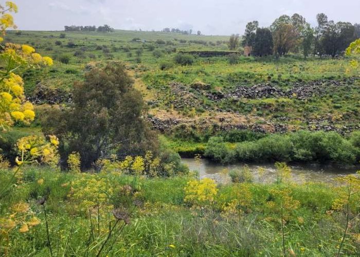 The Gesher Benot Ya'aqov area. Courtesy of Tel Aviv University