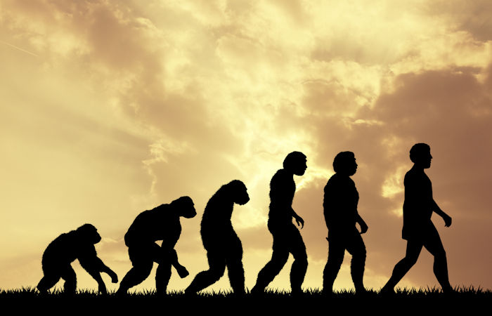 Disbelief In Human Evolution Is Linked To Prejudice And Racism - Scientists Say