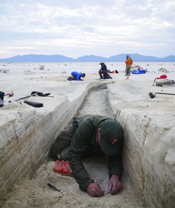 Oldest Fossil Human Footprints In North America Confirmed