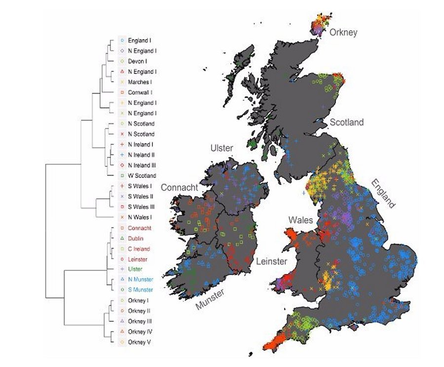 The clustering of individuals with Irish and British ancestry based solely on genetics. Shown are 30 clusters identified by fineStructure from 2,103 Irish and British individuals. Credits: RCSI (Royal College of Surgeons in Ireland) and the Genealogical Society of Ireland