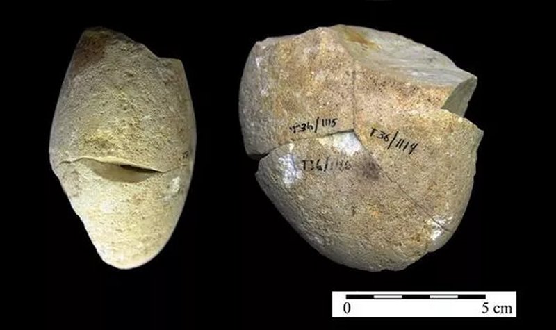  A prehistoric tool found in Tabun Cave, Mount Caramel. Image credit: University of Haifa