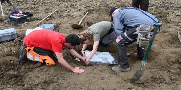 Extraordinary Bronze Age Jewelry Hoard Discovered In A Carrot Field In Switzerland