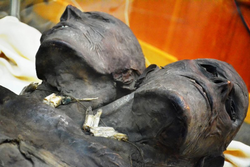 Kap Dwa – Mysterious Two-Headed Mummified Patagonian Giant – Real Or Fake?