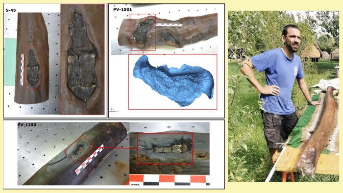 Earliest Evidence Of Forest Management Discovered At The La Draga Neolithic Site