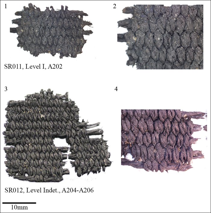 Underwater Discovery Of Rare Neolithic Textiles And Dwellings Near Rome