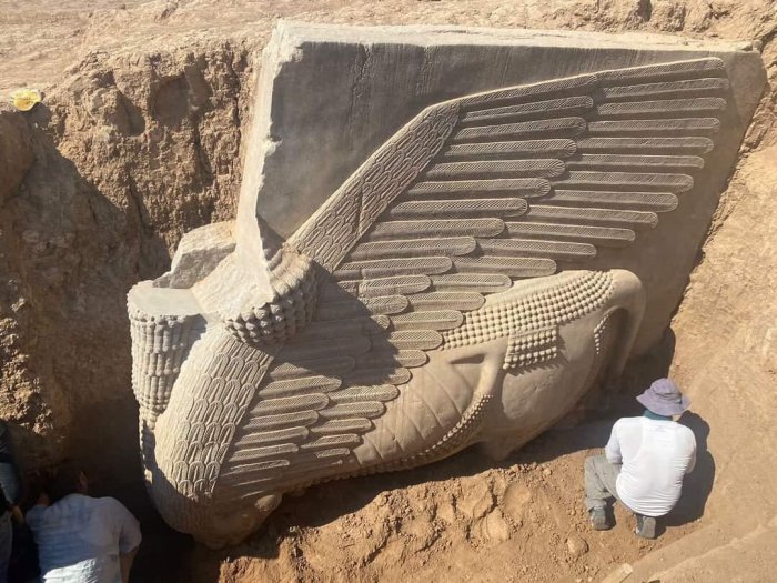 Remarkable Huge Ancient Lamᴀssu Statue Unearthed In Nineveh, Iraq