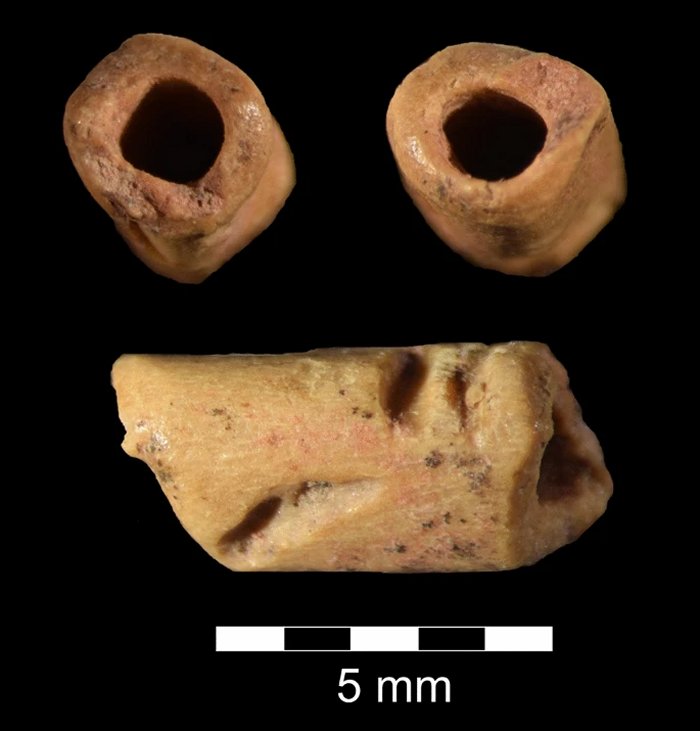 Oldest Bead In America Discovered At La Prele Mammoth Site, Wyoming
