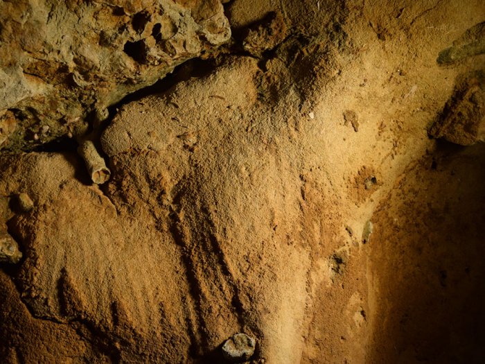 Amazing Time Capsule - La Roche-Cotard Cave Sealed 50,000-Years Offers Evidence Neanderthals Were The World’s First Artists