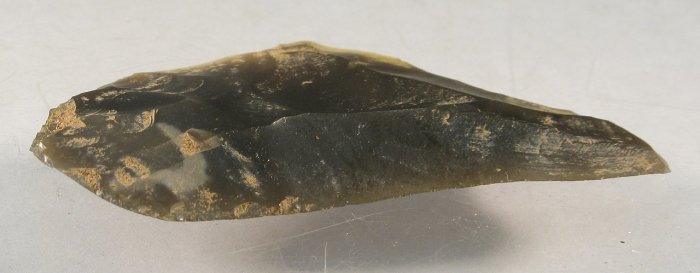 Worked lithic flake