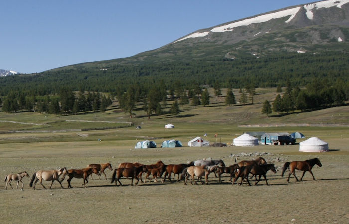 Livestock And Dairying Led To Dramatic Social Changes In Ancient Mongolia - New Study