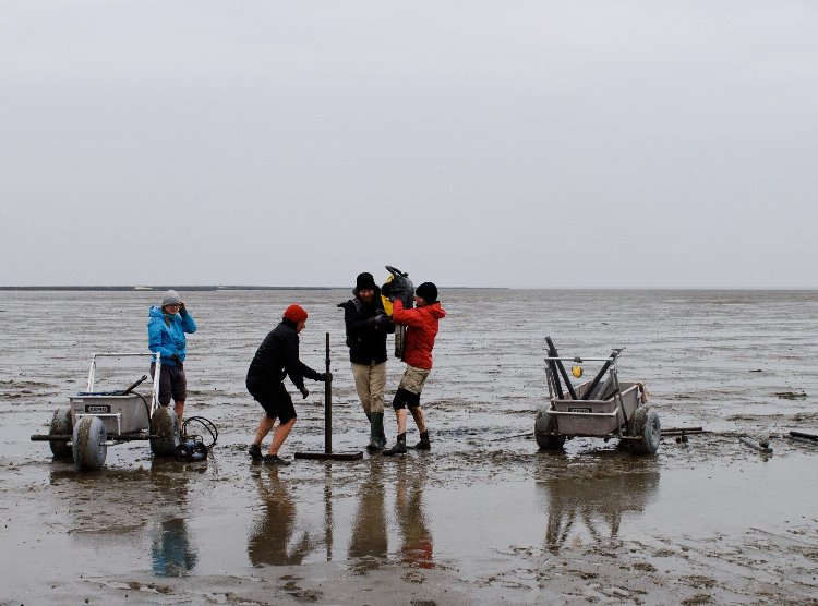 The researchers use sediment cores to record settlement remains and to reconstruct landscape evolution at selected sites on the tidal flats. (pH๏τo/©: Justus Lemm)