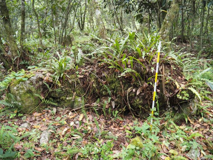 Unknown Ancient Structures Discovered At Machu Picchu By LIDAR 