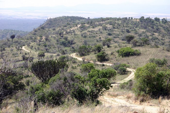 'Arcade' Of Ancient Mancala Game Boards Carved Into Rock Found In Lewa Wildlife Conservancy, Kenya