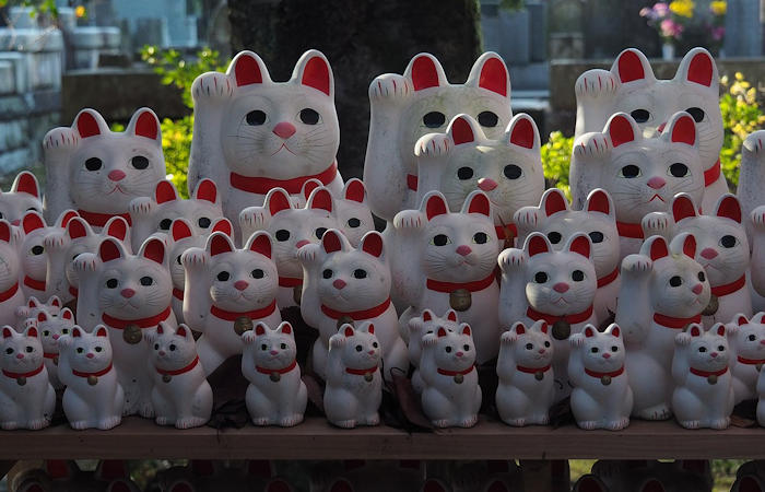 Beautiful Legend Of Maneki-neko - The Japanese Good Luck Charm Cat Raising A Paw