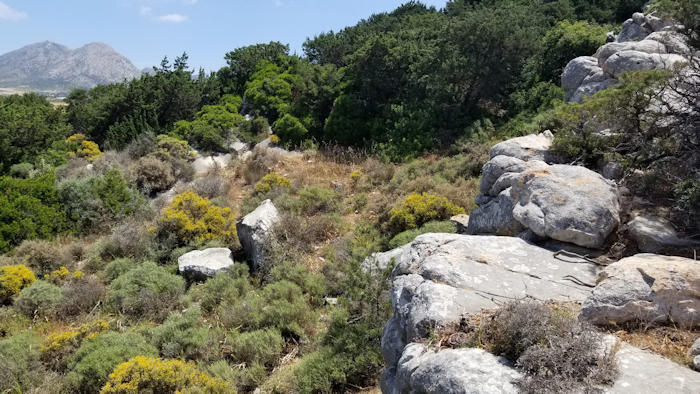 Mystery Of The Marble Lions On The Sacred Island Of Delos Solved?