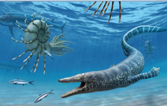 Discovery Of Ancient Marine Reptile Fossil - New Evolutionary Insight