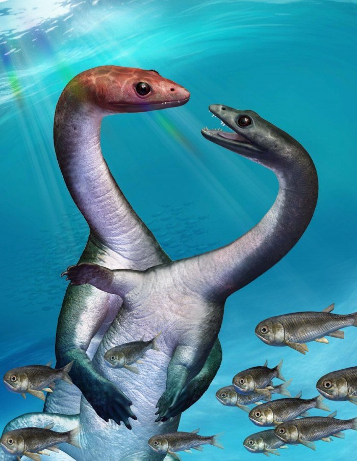 Exciting Insights Into The Sєxual Development Of An Extinct Marine Reptile